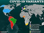 The South African coronavirus variant: everything we know about it