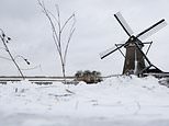 Holland sees its first snowstorm for a DECADE, causing school lockdown closures to be extended