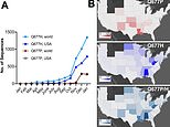 US scientists discover SEVEN homegrown variants
