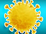 UK spots 33 cases of ANOTHER Covid variant