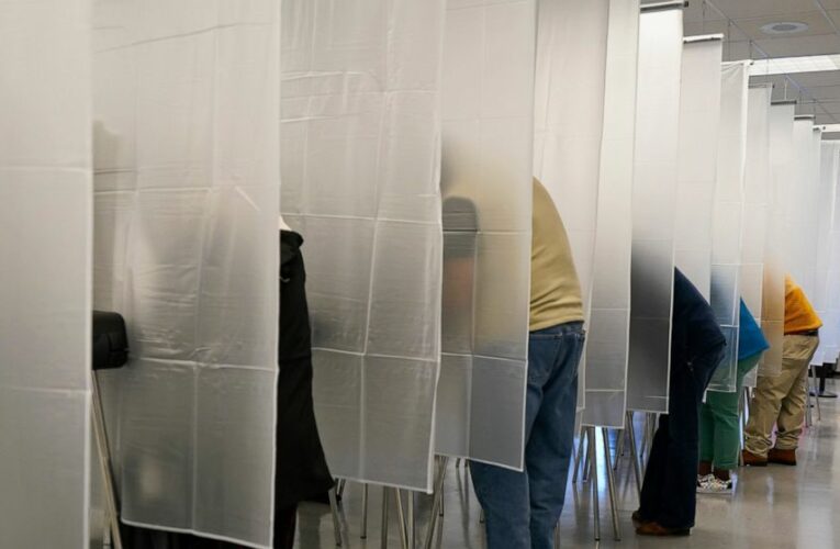 Activists complain of weakened voting security standard