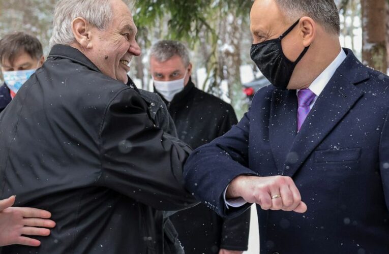 Central Europe presidents mark 30 years of Visegrad Group