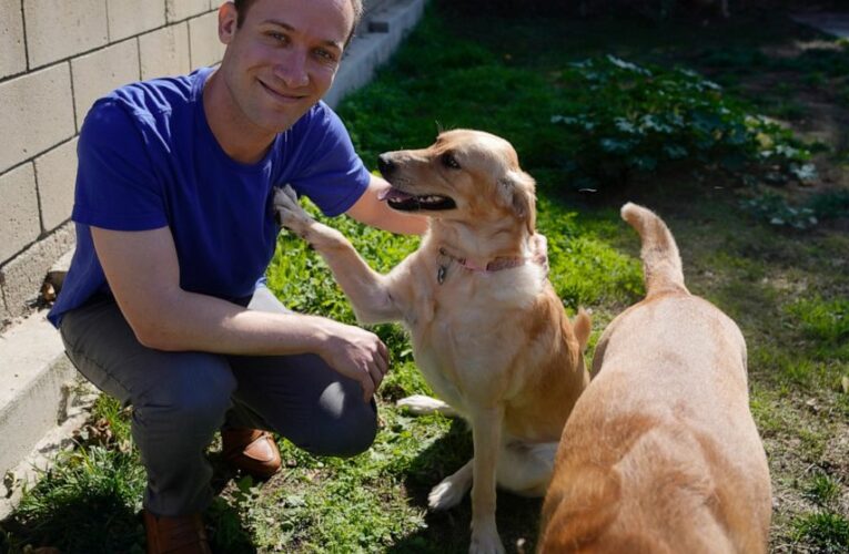 After losing a company to COVID, owners seek the next gig