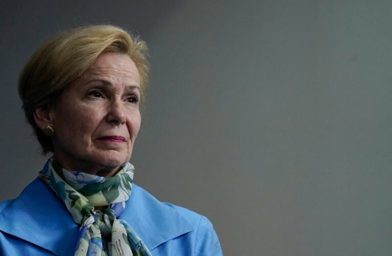 Analysis: Birx says majority of Covid-19 deaths were preventable