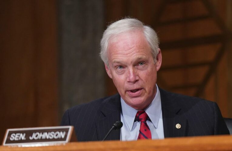 Ron Johnson says he might have been concerned for safety had Capitol rioters been BLM and Antifa
