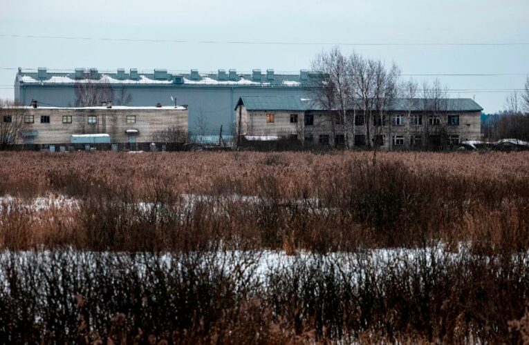 The rough conditions inside prison camp where Navalny is held