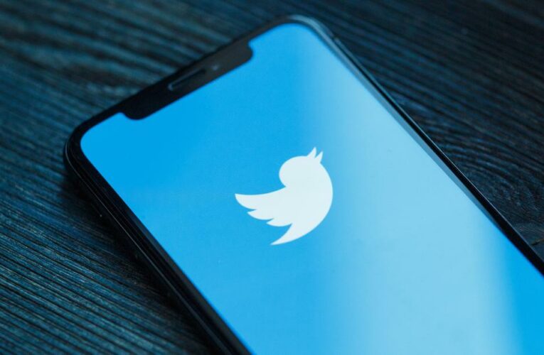 Russia’s Twitter crackdown ends up taking out government websites