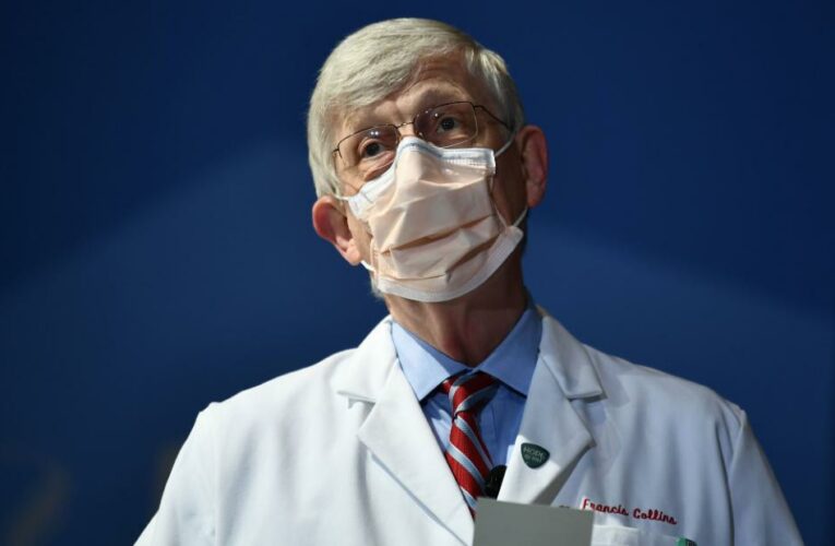 Keep masks on, NIH director pleads as Texas enters 1st weekend without statewide Covid-19 restrictions