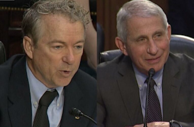 See Rand Paul spar with Dr. Fauci over masks