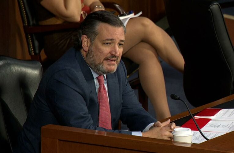 Cruz accuses Democrats of ‘ridiculous theater’ after shootings