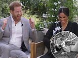 Prince Harry and Meghan Markle announce they are having a baby girl