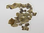 Dozens of new Dead Sea Scroll fragments found in Israel