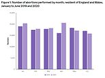 Coronavirus UK: Abortion numbers surged by up to 30% in the first half of 2020