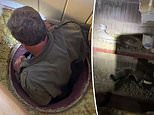 Woman reveals the eerie underground BOMB SHELTER she discovered in a California home built in 1951