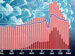 England and Wales saw NO excess deaths last week for the first time since AUGUST