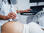 Scientists detect 55 chemicals in pregnant women never before seen in humans