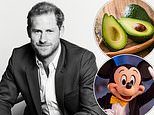 JAN MOIR: Prince Harry has got the perfect CV for a Mickey Mouse executive! 