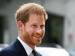 Prince Harry landed work in US with visa for people with ‘extraordinary ability’, experts claim