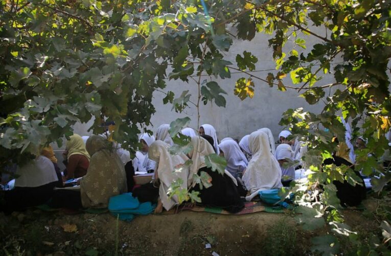 Memo banning Afghan girls singing prompts #IAmMySong protest