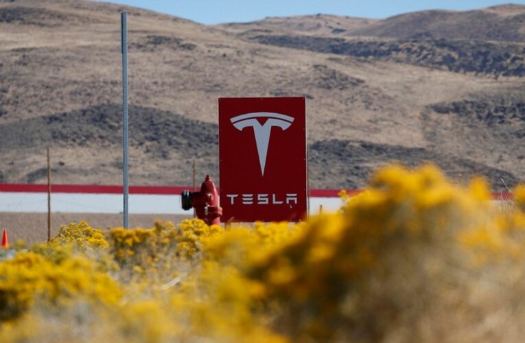 Russian man admits ransomware plot against Tesla in Nevada