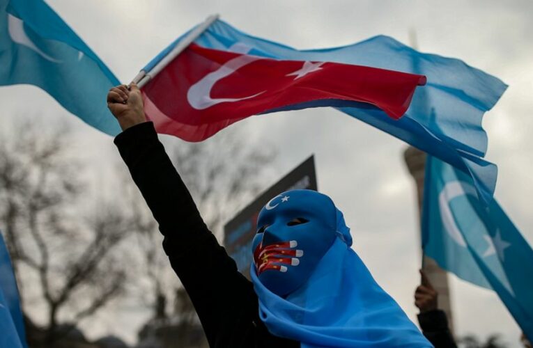 Uyghurs in Turkey protest Chinese foreign minister’s visit