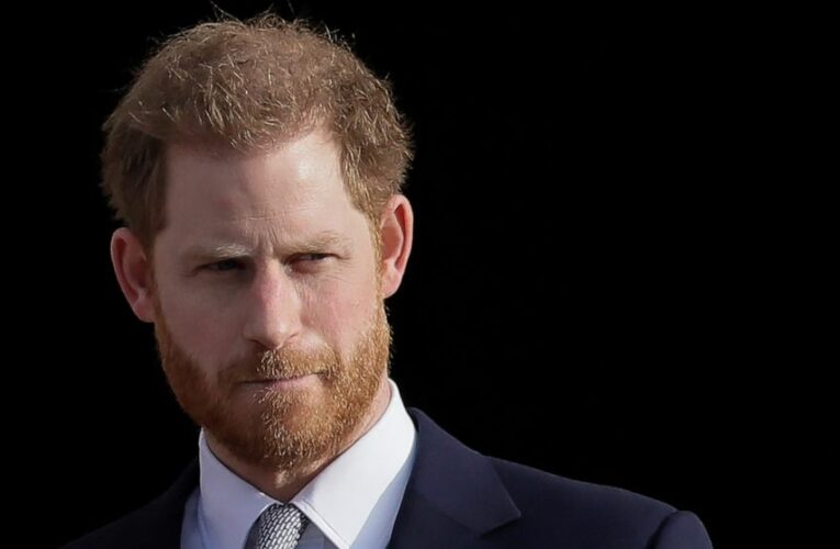 CEO says Harry hire is a natural fit, not a publicity stunt