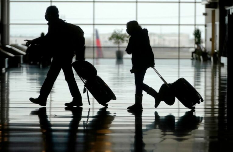 US air travel rises to highest levels yet since pandemic hit