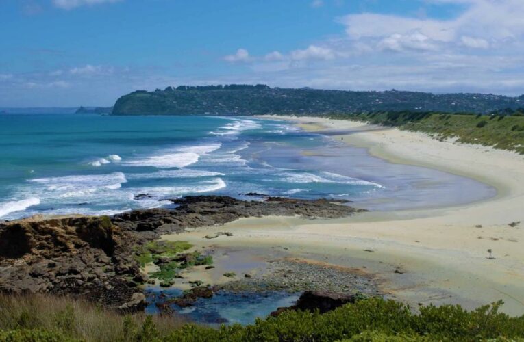 With summer around the corner, you may be wondering whether going to the beach is a safe bet. Here’s what you should know.