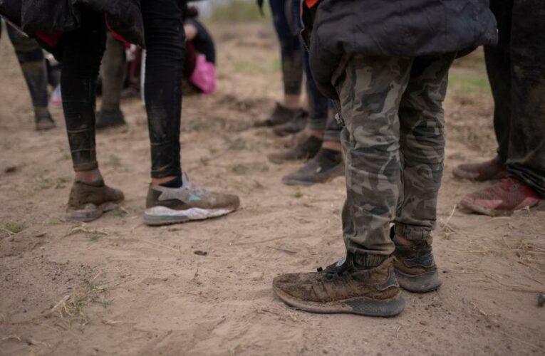 US immigration agencies ordered to end use of terms ‘alien’ and ‘assimilation’
