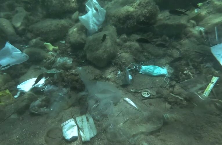 Discarded PPE filling up landfills and oceans