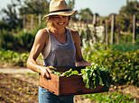 Britons prefer to have an allotment than a sports car, survey finds