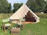 Landowners across UK to turn their stately homes, farms and even racecourses into pop-up campsites