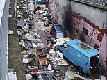 Parisians turn on Socialist mayor with Twitter campaign accusing her of making city ‘rubbish dump’