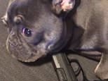 Rapper who filmed Holby City actor’s daughter dying is caught on video with gun