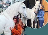 Luisa Zissman unveils stuffed body of her DEAD horse Madrono after she couldn’t bear to let him go