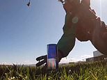 Dropping by for a drink! Skydiver swoops down at 60mph and snatches a can of Red Bull off the ground