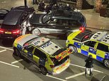 Moment armed police arrest murder suspect, 34, in swoop 100 miles from £2m Dorset mansion