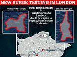 Covid UK: Fresh outbreak of South African Covid variant hits south London