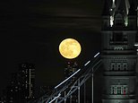 Lunar cycle affects levels of testosterone and the stress hormone cortisol in the blood