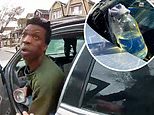 Shocking moment motorist throws a chemical on NYPD officer during a routine 8am traffic stop