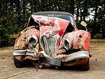 Mangled classic Jaguar set to sell for £10k – but could be worth £250k