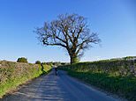 Britons will flock to parks and beauty spots and pack out beer gardens as temperatures hit 68F today