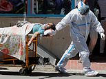 India sets world record for daily Covid infections for FOURTH day in a row with 350,000 new cases