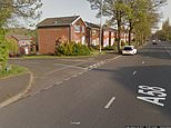 Driver, 69, dies after being run over by his own car as he tried to stop it rolling downhill 