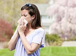 Taking antihistamines before a run to beat hayfever can STOP you from getting fit, says study