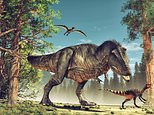 Stiff lower jaw allowed T.Rex to deliver bone-crushing bites, study shows