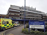 One-year-old boy seriously injured after being bitten in face by dog as man, 27, is arrested