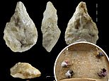 Hundreds of stone tools used by homo erectus a million years ago discovered in abandoned Sahara mine