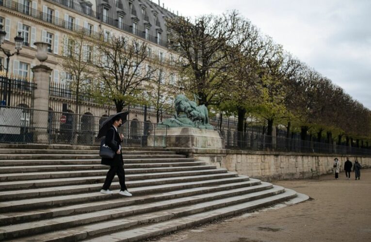 France suspends all Brazil flights due to virus variants