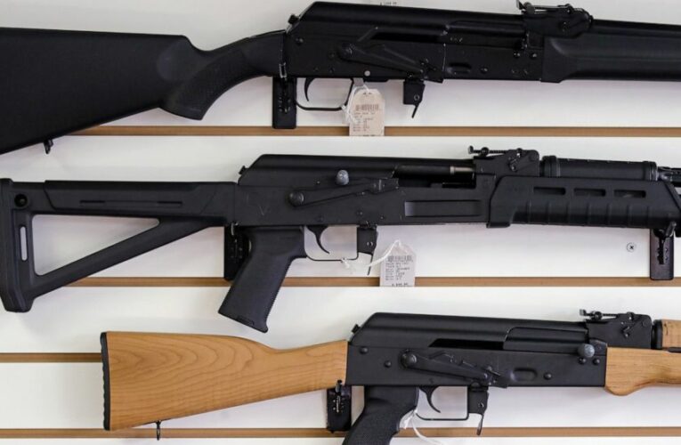 Oregon gun storage law would be among the toughest in the US